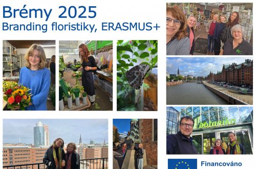 Stáž Erasmus+, branding floristiky 2025