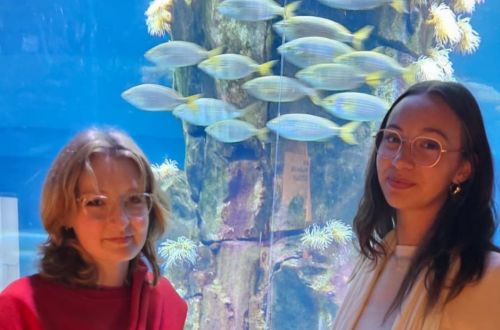 Stáž Erasmus+, branding floristiky 2025