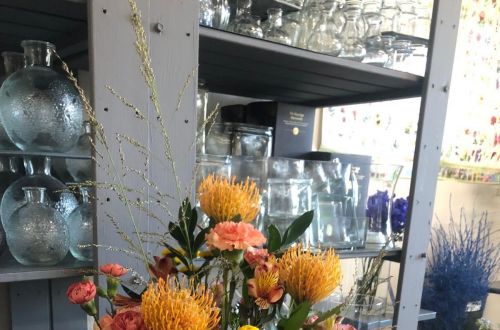 Stáž Erasmus+, branding floristiky 2025