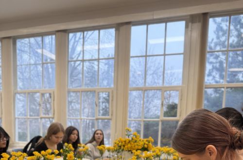 XXIV. Královéhradecký městský ples