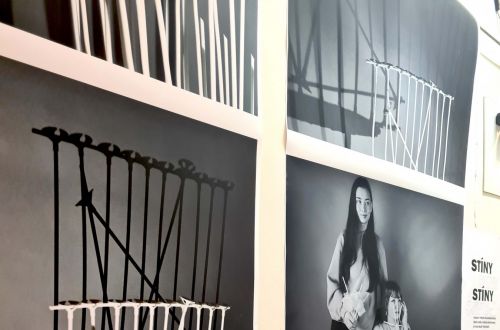 Jarní výstava 2023