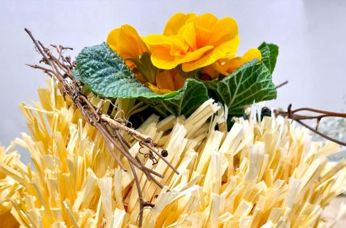 Jarní výstava 2023