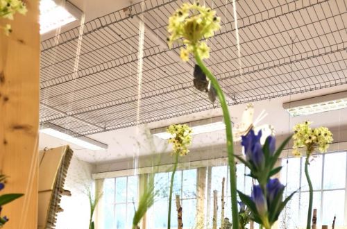 Jarní výstava 2023