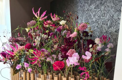 Mistrovská výstava Stuttgart 2022