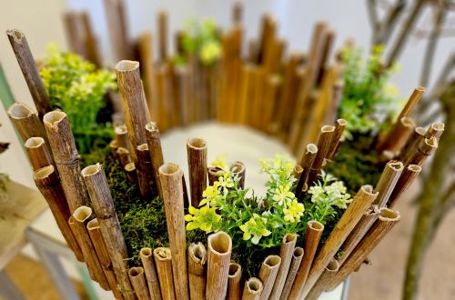 Jarní výstava 2024