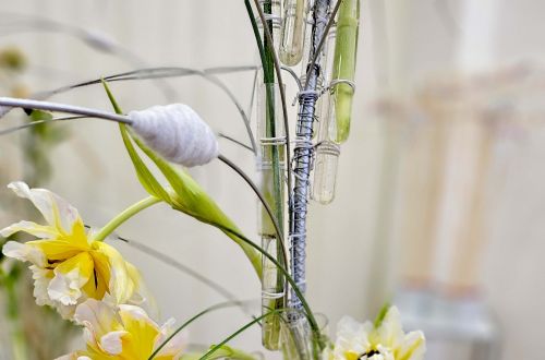 Jarní výstava 2024