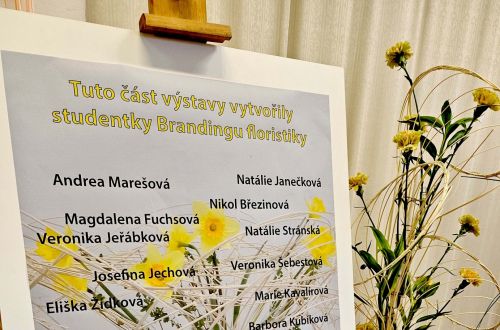 Jarní výstava 2024