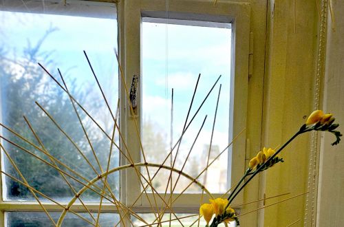 Jarní výstava 2024