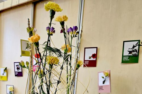 Jarní výstava 2024