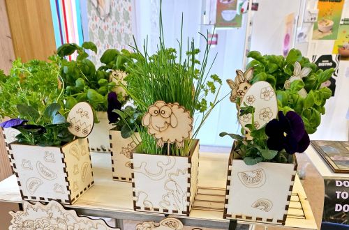 Jarní výstava 2024