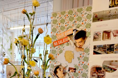 Jarní výstava 2024