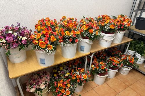 Šarmantní osobnost roku 2025