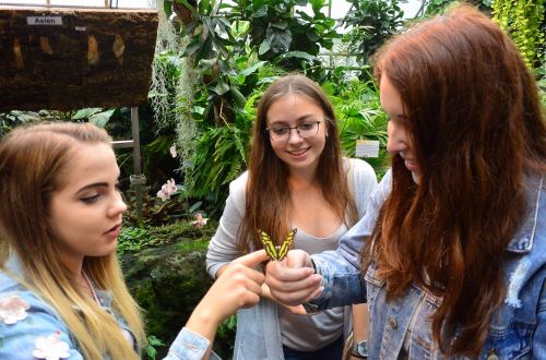 Botanika Brémy 2018