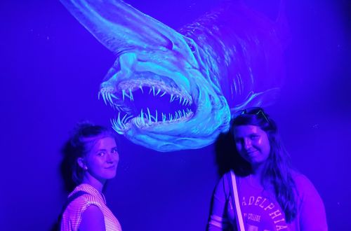 Klimahaus - 2019 branding floristiky