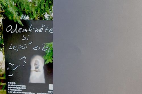 Jarní výstava 2021