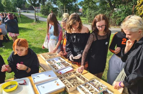 VIZUALFEST 15. 9. 2023