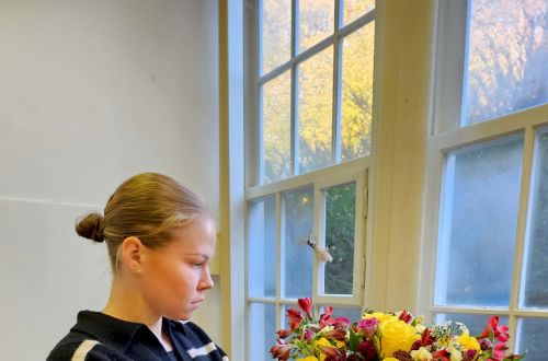 Filharmonie 28.10. 2024 - příprava ve škole