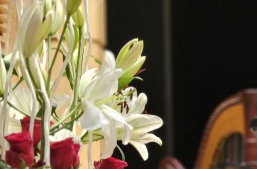 Filharmonie 2025 - příprava